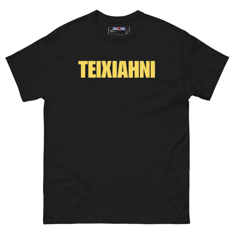 TEIXIAHNI T