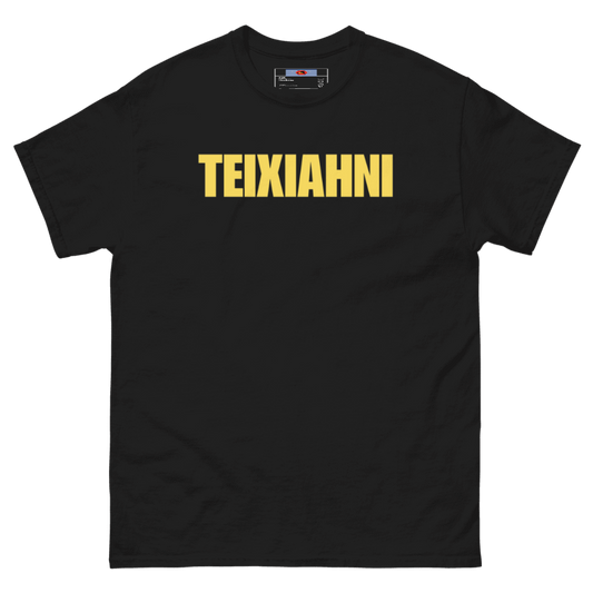 TEIXIAHNI T